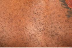 Photo Textures of Human Skin